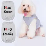Letter Print Papa T-Shirt - Dad Gift Top