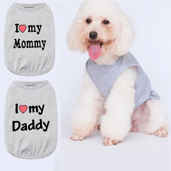 Letter Print Papa T-Shirt - Dad Gift Top