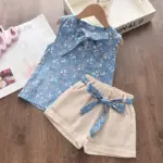 New Summer Baby Girls Clothes Children Sleeveless Vest Shorts 2Pcs/Sets Toddler Clothing Infant Fashion Costume Kids Tracksuits
